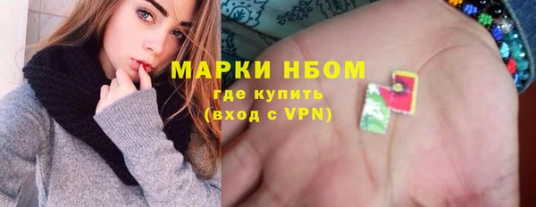 шишки Алексин