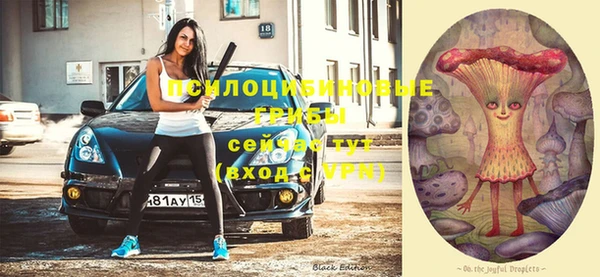 шишки Алексин